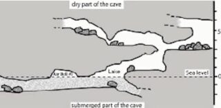 5,5 Millionen alte Höhle geöffnet und seltsame Wesen gefunden!