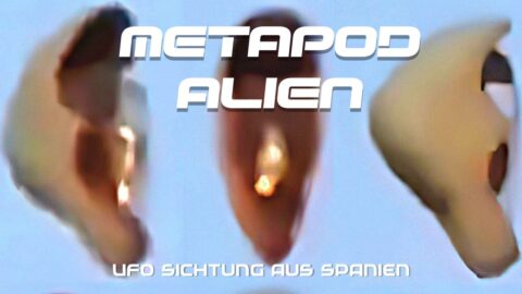 Metapod Alien UFOVNI
