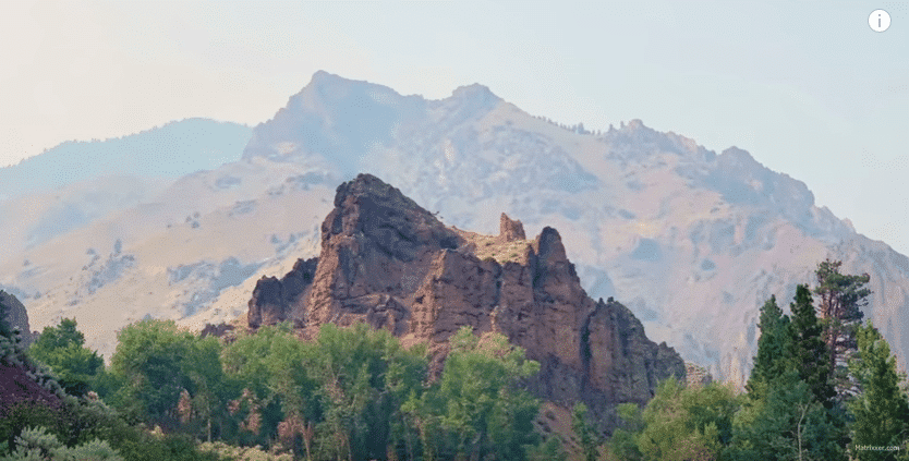 Berge sind Bäume