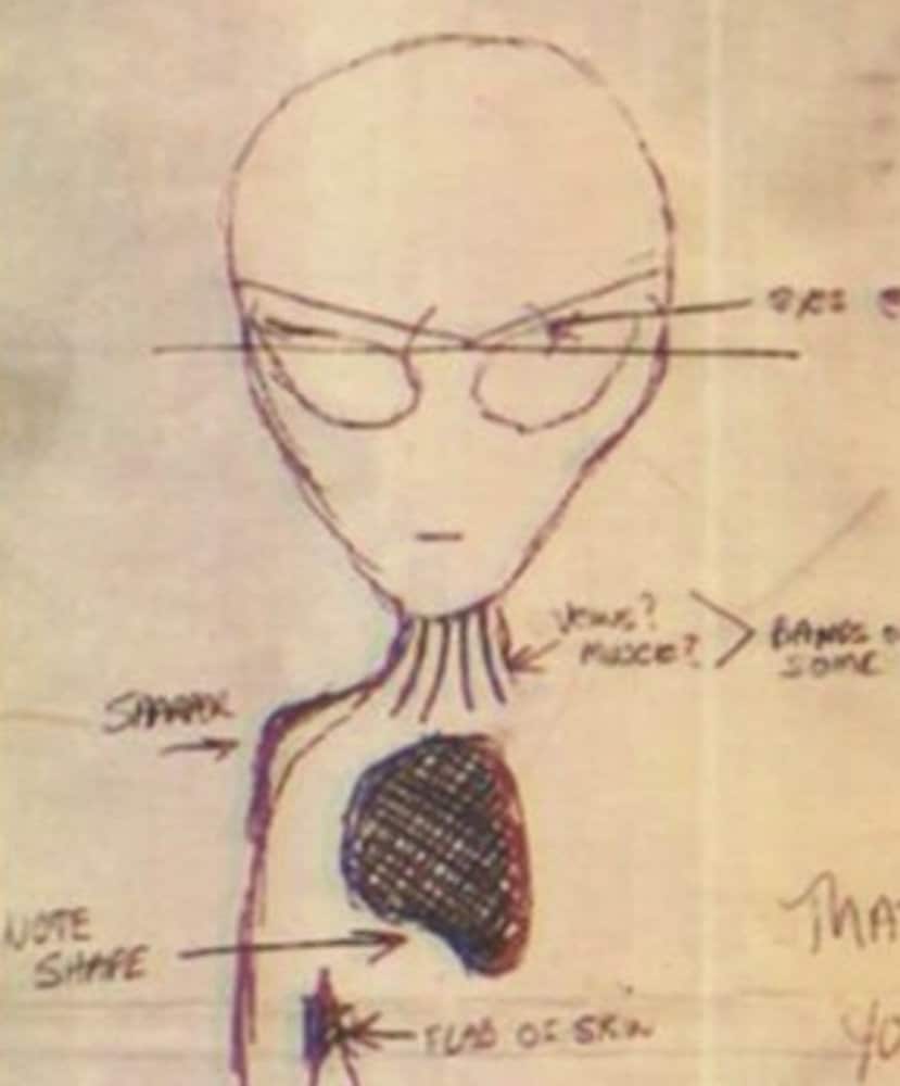 Bob lazar alien organe area 51
