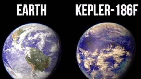 Kepler-186F