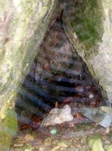 Untersberger Höhle