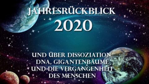 Jahresrückblick 2020, Gigantenbäume, DNA, Dissoziation