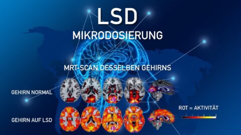LSD MIkrodosierung