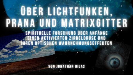 Gemeine Lichtfunken, Prana, Floaters, Zirbeldrüse und Matrixgitter