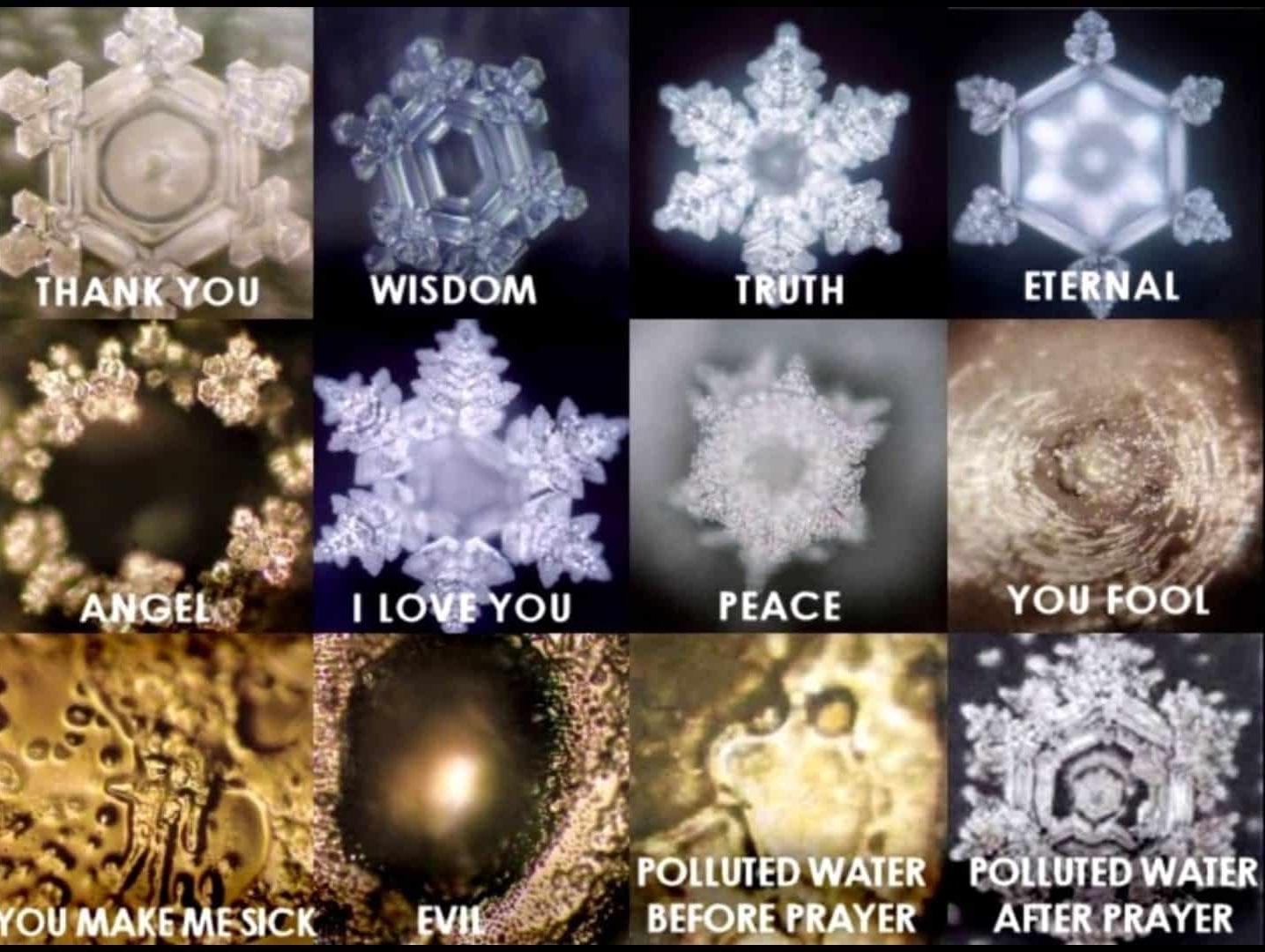 Energie Essenzen Masuru Emoto