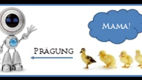 Roboter-Kueken-Praegung-Poech