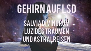 Gehirn auf LSD: Salvia Divinorum, luzides Träumen und Astralreisen (Teil 14)