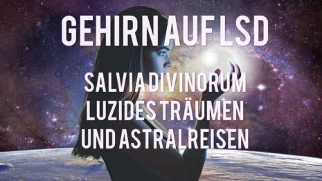 Salvia Divinorum - luzides-traeumen, astralreisen