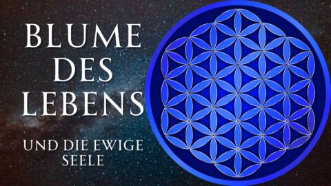 blume-des-lebens-2
