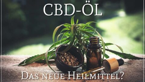CBD-Öl Wirkung