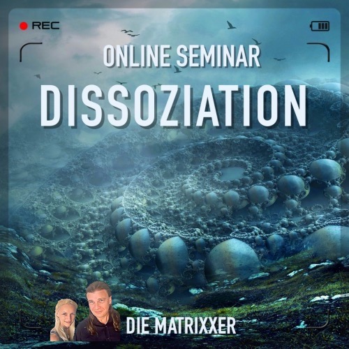 dissoziation online seminar neu