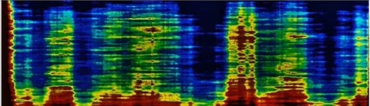 filippo bondi pyramid analysis