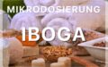 Gehirn auf LSD: Mikrodosierung Iboga (Teil 11)