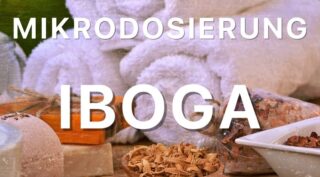Gehirn auf LSD: Mikrodosierung Iboga (Teil 11)