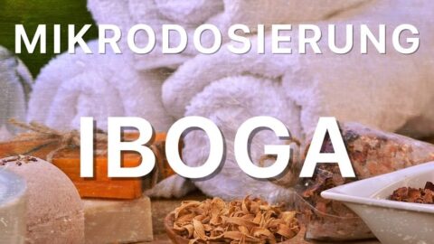 ibogain-mikrodosierung-ibogain-therapie