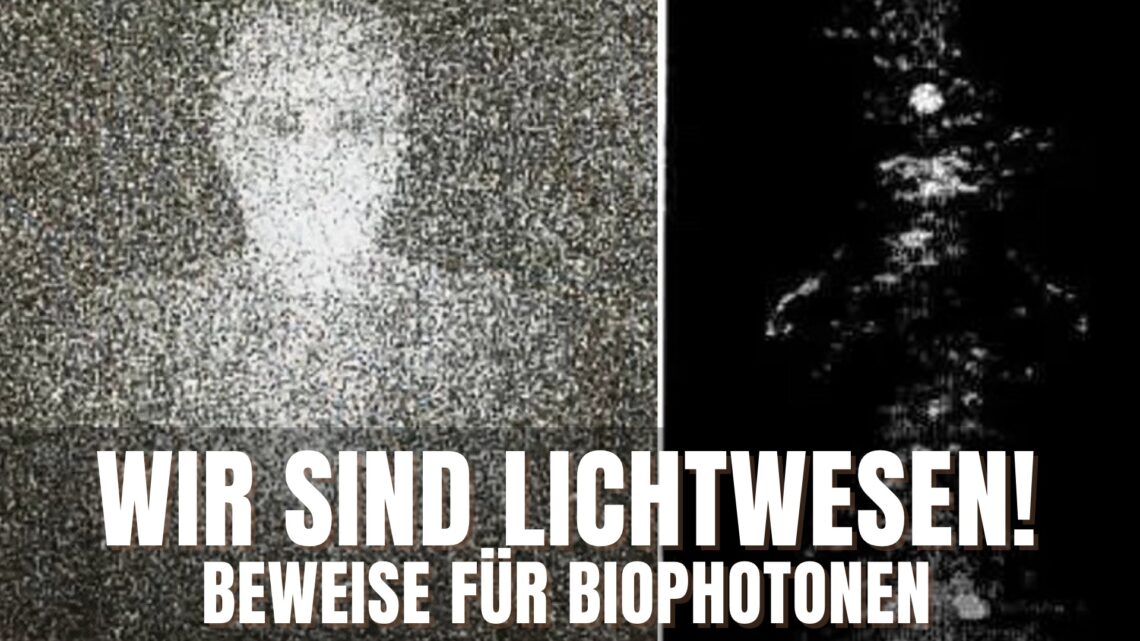 lichtwesen-biophotonen