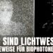 lichtwesen-biophotonen