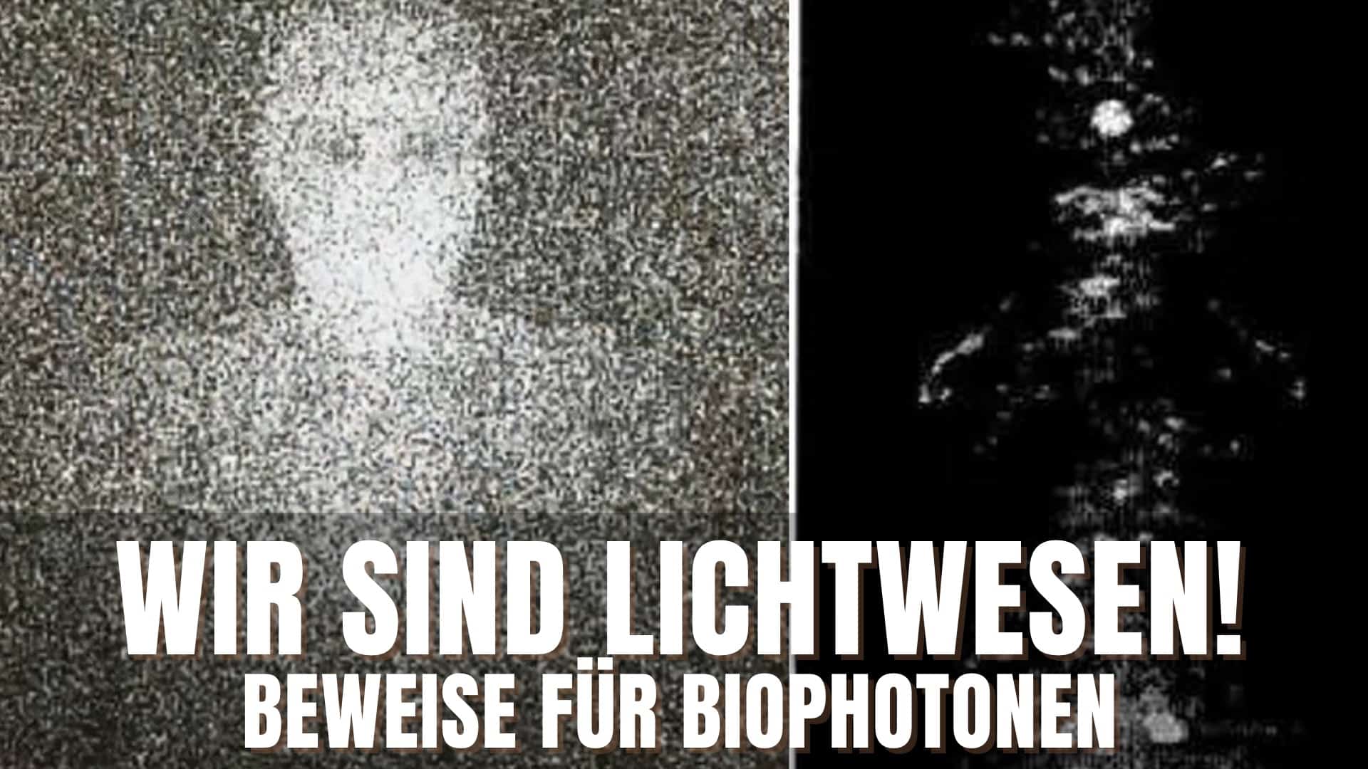 lichtwesen-biophotonen