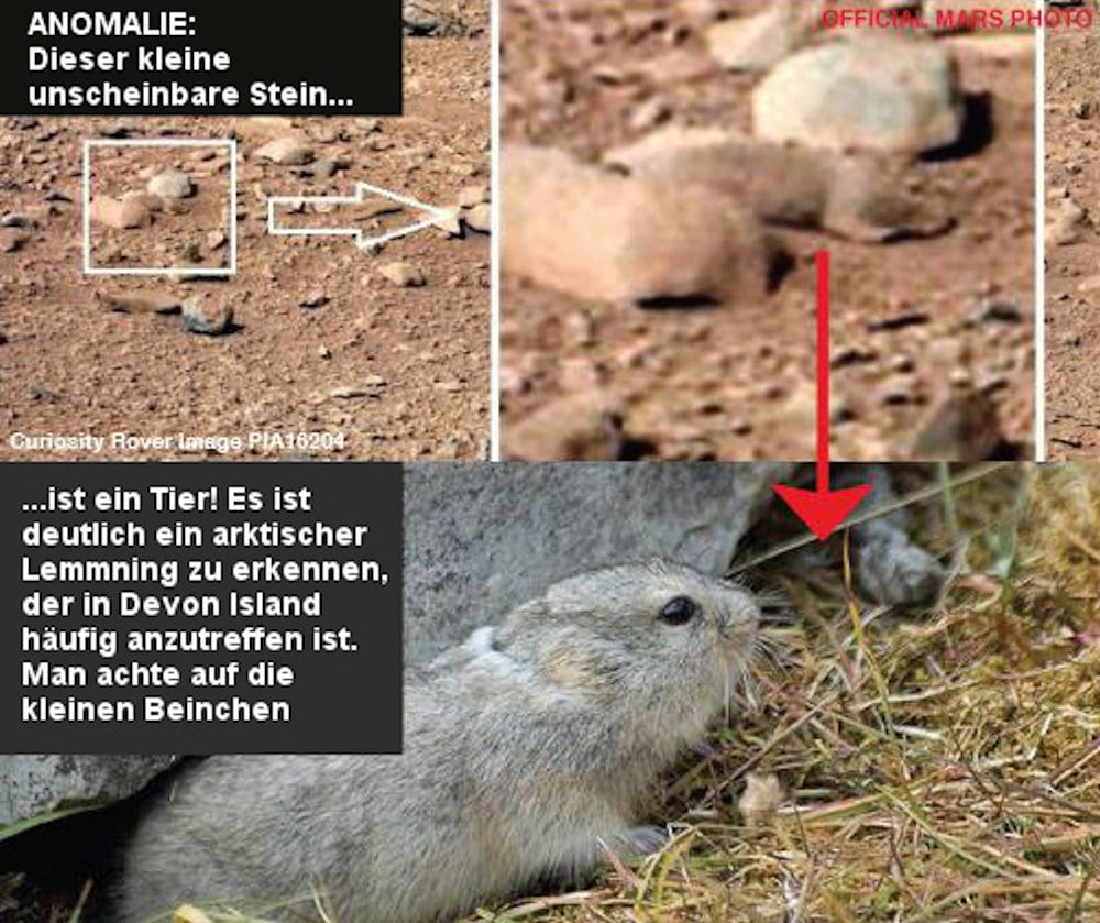 marsrover-arktischer-lemming