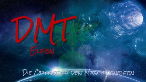 Maschinenelfen DMT Elfen
