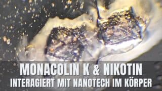 Monacolin K – Was zerstört Nano-Technologie im Körper? [La Quinta Columna]
