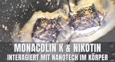 monacolin k nanotech