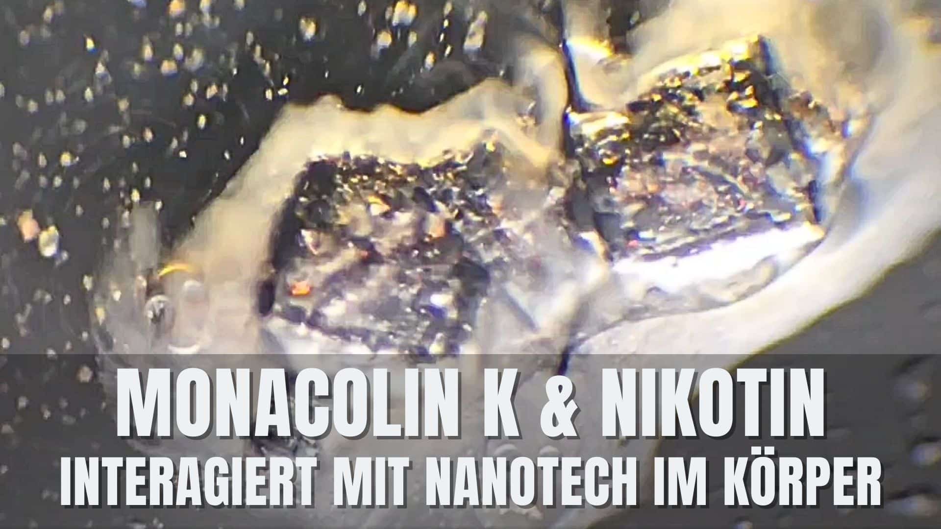 monacolin k nanotech