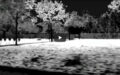 Musikvideo: Jonathan Dilas & Mamabaer feat. Kommissar Hjuler