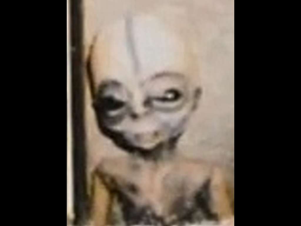 Boyd Bushmann Alien