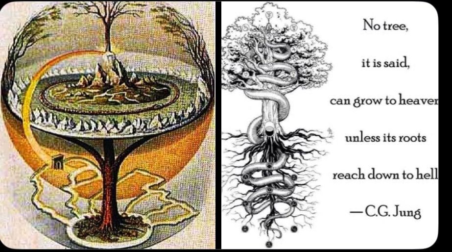Carl Gustav Jung der riesen Baum