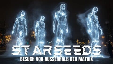 starseeds deutsch - besuch in der matrix