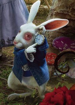 white-rabbit