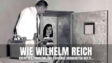 wilhelm reich orgon kammer