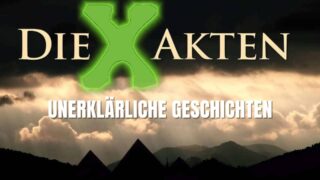 X-Files: 10 Jahre vermisste Katze findet Familie beim Brand in Kalifornien wieder