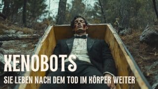 Xenobots: Forscher entdecken mysteriösen dritten Zustand jenseits des Todes